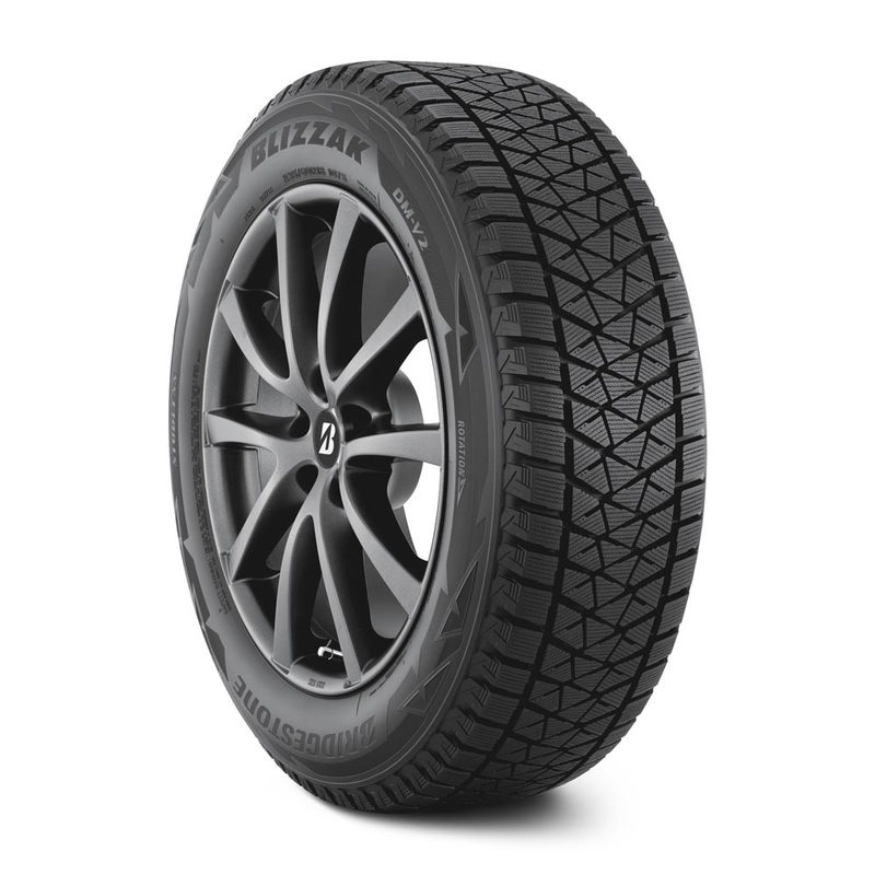 Bridgestone Blizzak DM V2