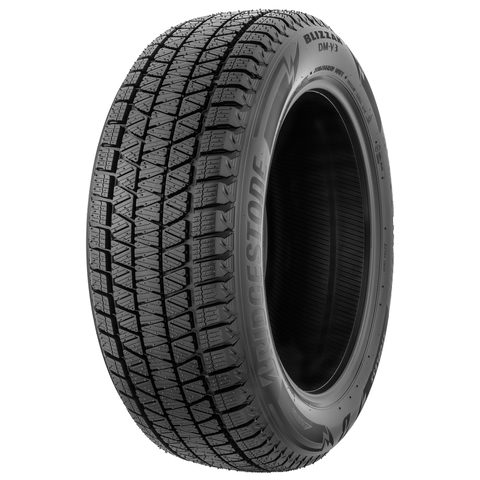 Bridgestone Blizzak DM V3
