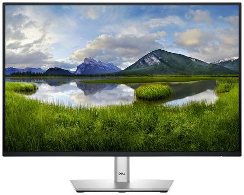 Dell P2425 24 Zoll WUXGA IPS LED 16:10 100 Hz Office Monitor