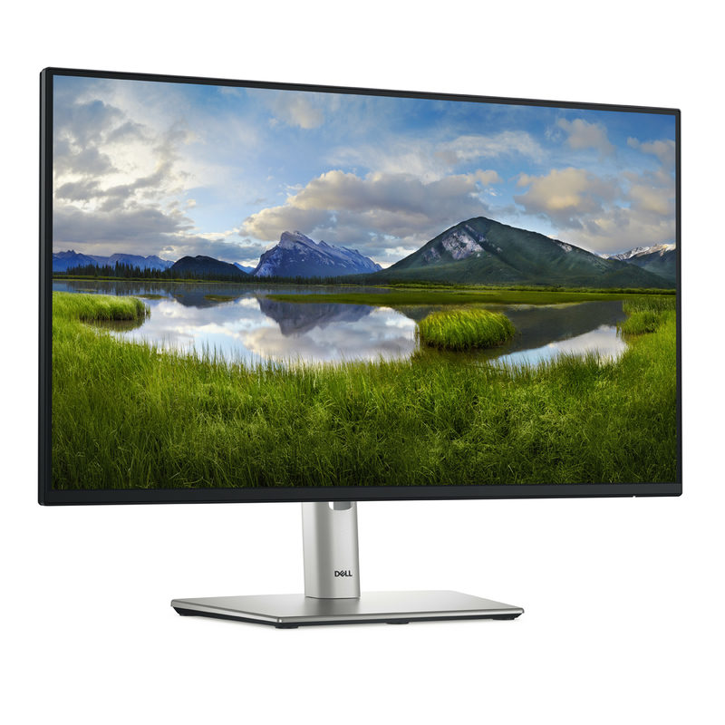 Dell P2425H, Bild 2