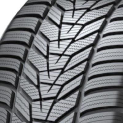 Offroadreifen-Winterreifen Hankook WiNter i*cept evo3 W330A MFS 255/40 R21 102V, Bild 2