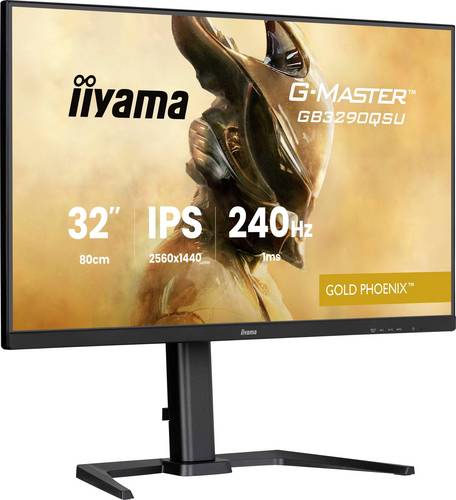 Iiyama G-MASTER Gaming Monitor EEK F (A - G) 80cm (31.5 Zoll) 2560 x 1440 Pixel 16:9 1 ms IPS LED
