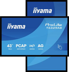 iiyama ProLite T4329AS-B1AG 108cm (42.5) 4K UHD Touch Monitor HDMI/USB-C
