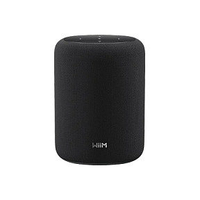 WiiM Sound LITE schwarz Smart Speaker Hi-Res Multiroom Lautsprecher, Bild 5
