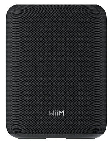 WiiM Sound LITE schwarz Smart Speaker Hi-Res Multiroom Lautsprecher