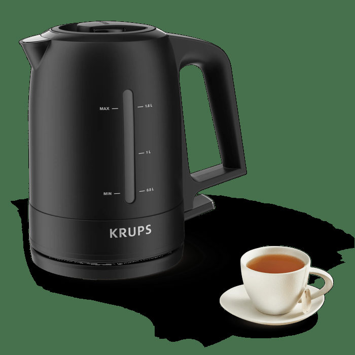 Krups BW2448 ProAroma Wasserkocher 1,6l schwarz