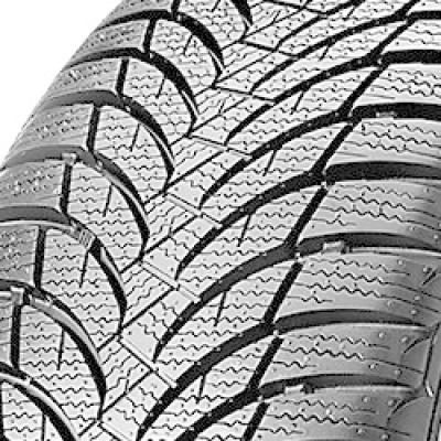 Nexen Winguard SnowG WH2, Bild 2