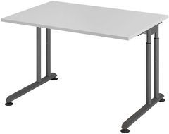 Schreibtisch 120 x 80 cm Grau/ Graphit