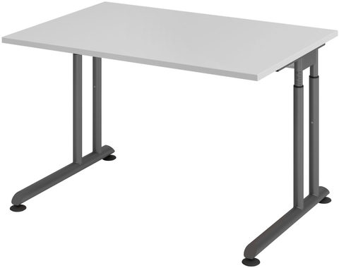 Schreibtisch 120 x 80 cm Grau/ Graphit