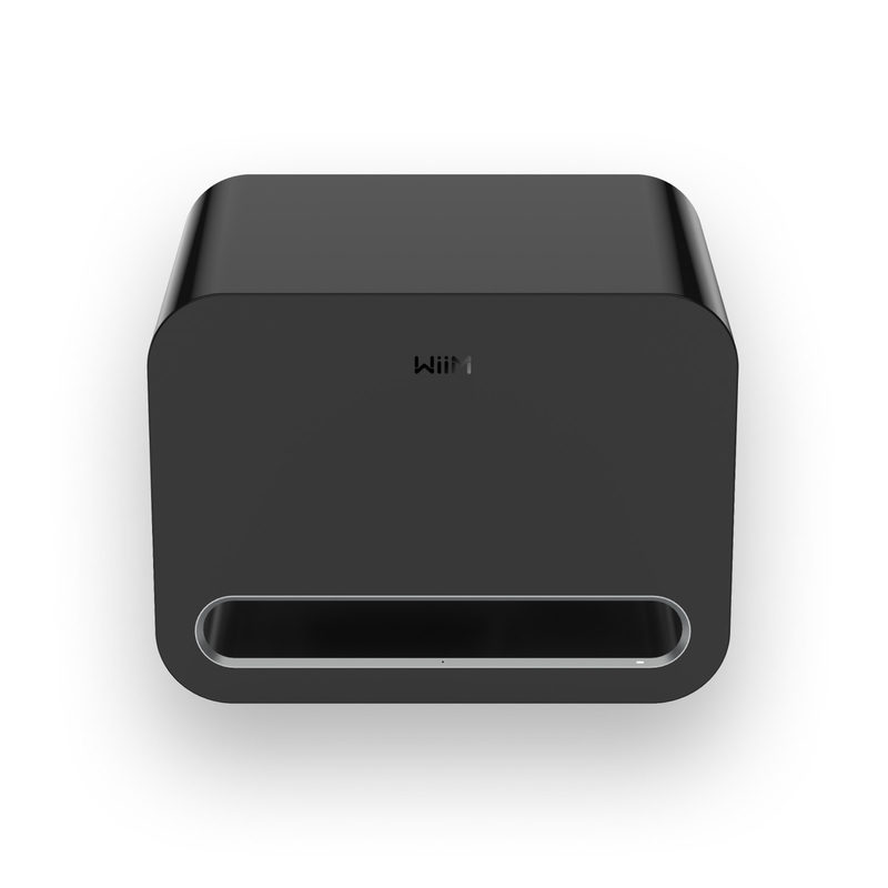 WiiM Sub Pro Subwoofer